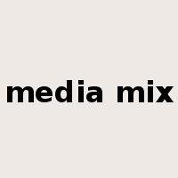 media mix是什么意思