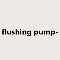 flushing pump-是什么意思