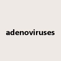 adenoviruses是什么意思