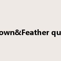 Down&Feather quilt是什么意思
