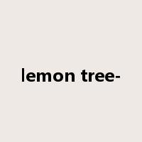 lemon tree-是什么意思
