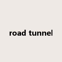 road tunnel是什么意思