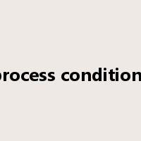 process conditions是什么意思