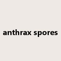 anthrax spores是什么意思