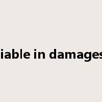 liable in damages是什么意思