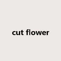 cut flower是什么意思