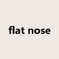 flat nose是什么意思