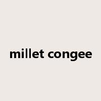millet congee是什么意思