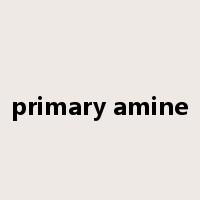 primary amine是什么意思