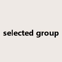 selected group是什么意思