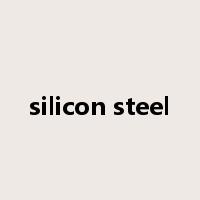 silicon steel是什么意思