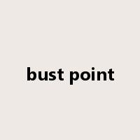 bust point是什么意思