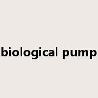 biological pump是什么意思