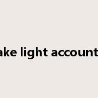 make light account of是什么意思