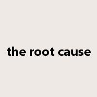 the root cause是什么意思