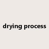 drying process是什么意思