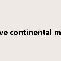 passive continental margin是什么意思
