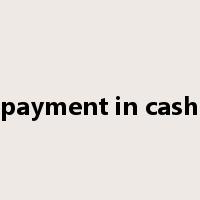 payment in cash是什么意思