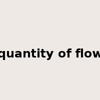 quantity of flow是什么意思