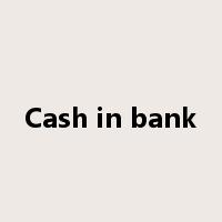 Cash in bank是什么意思
