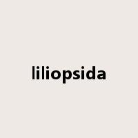 liliopsida是什么意思