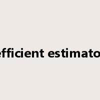 efficient estimator是什么意思