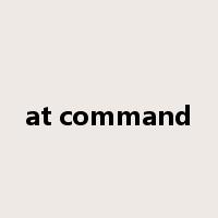 at command是什么意思