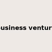 business venture是什么意思