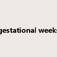 gestational weeks是什么意思