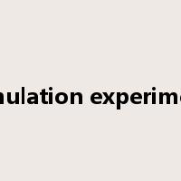 simulation experiment是什么意思