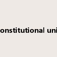 constitutional unit是什么意思