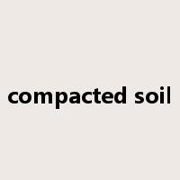 compacted soil是什么意思