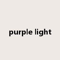 purple light是什么意思