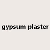 gypsum plaster是什么意思