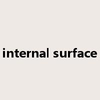internal surface是什么意思