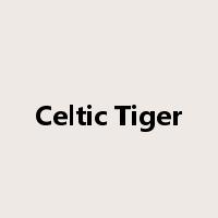 Celtic Tiger是什么意思