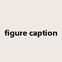 figure caption是什么意思