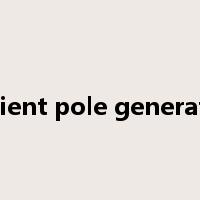 salient pole generator是什么意思
