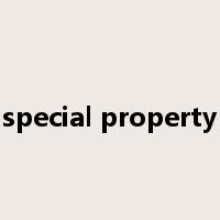 special property是什么意思