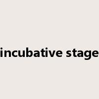 incubative stage是什么意思