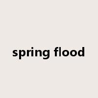 spring flood是什么意思