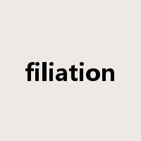 filiation是什么意思