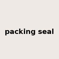 packing seal是什么意思