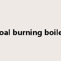 coal burning boiler是什么意思
