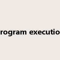 program execution是什么意思
