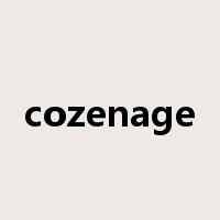 cozenage是什么意思