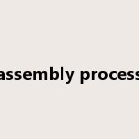 assembly process是什么意思