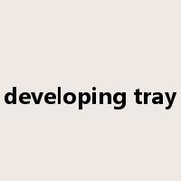developing tray是什么意思