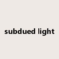 subdued light是什么意思