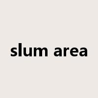slum area是什么意思